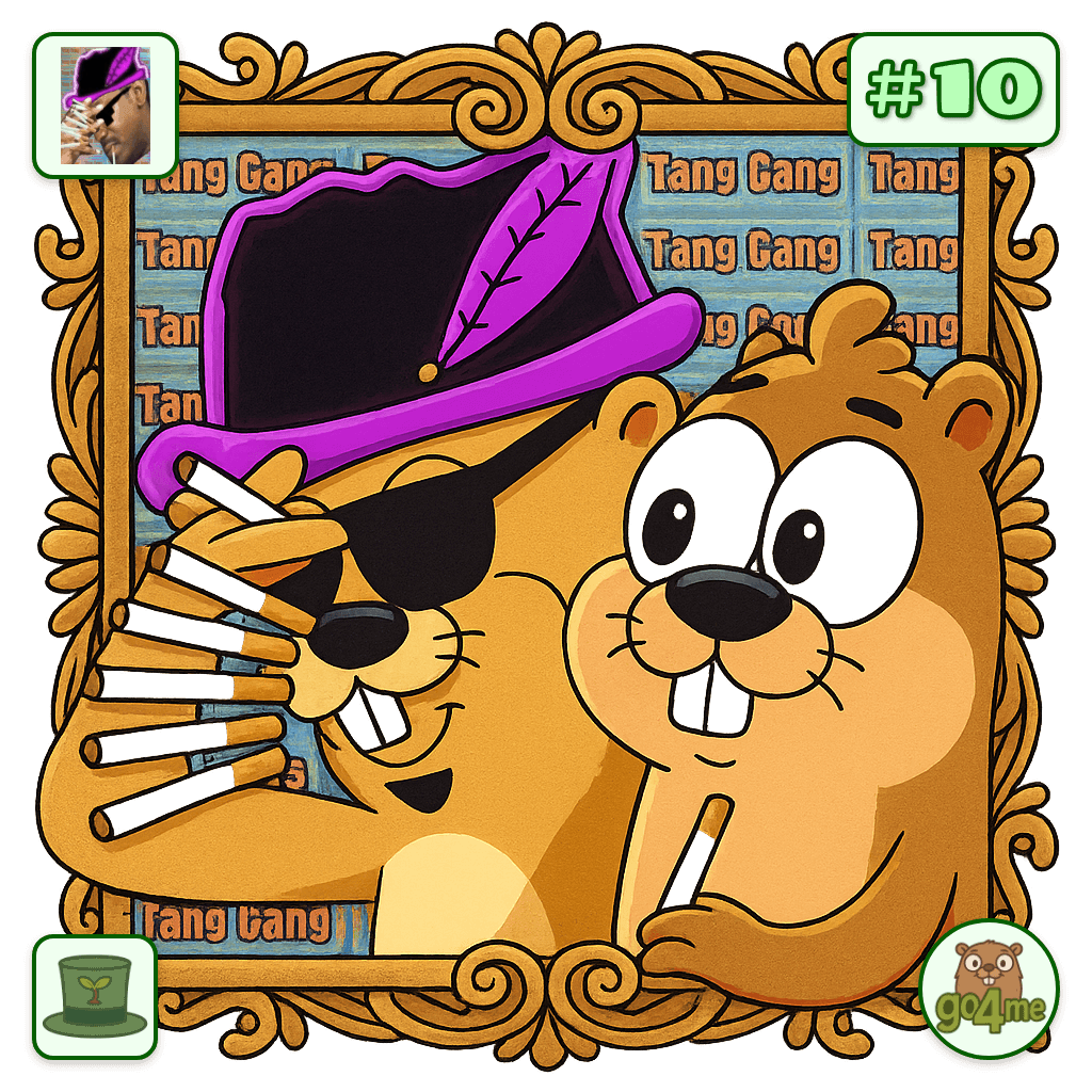 ObserveDiscern avatar